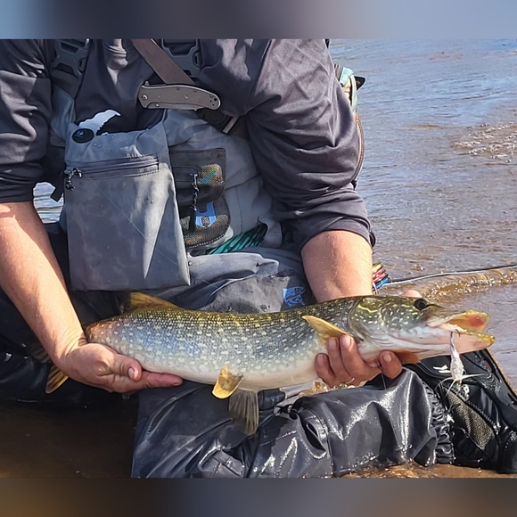 Meet your Posher, Heather - Picture 10 of 11